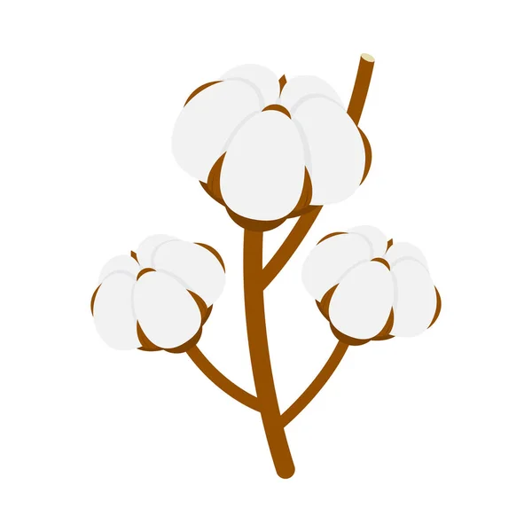 白い背景の上の綿の植物の花アイソメトリックベクトルイラスト — ストックベクタ