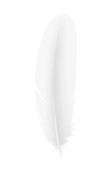 White Bird Feather Realistic Vector Illustration — Stock Vector