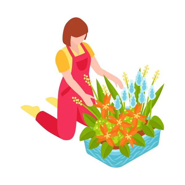 Γυναίκα Ανθοπώλης Ψάχνει Μετά Ανθισμένα Λουλούδια Ισομετρική Διανυσματική Απεικόνιση — Διανυσματικό Αρχείο