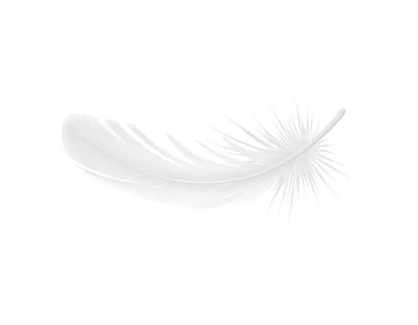Düşen Tüylü Beyaz Kuş Tüyü Gerçekçi Vektör Çizimi — Stok Vektör