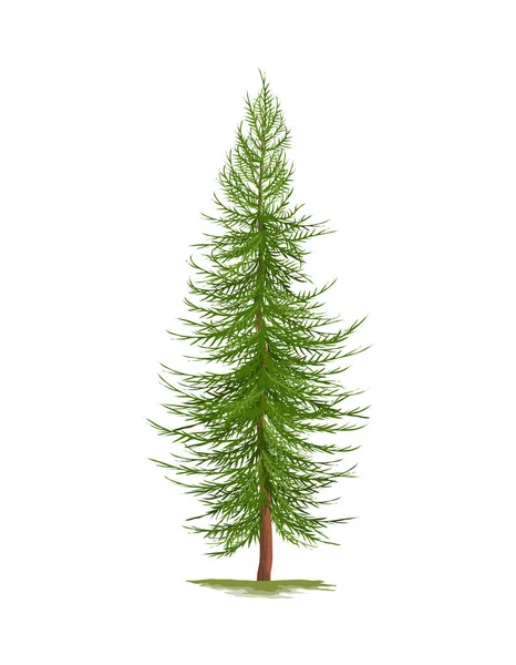 Groene Dennenboom Witte Achtergrond Realistische Vector Illustratie — Stockvector