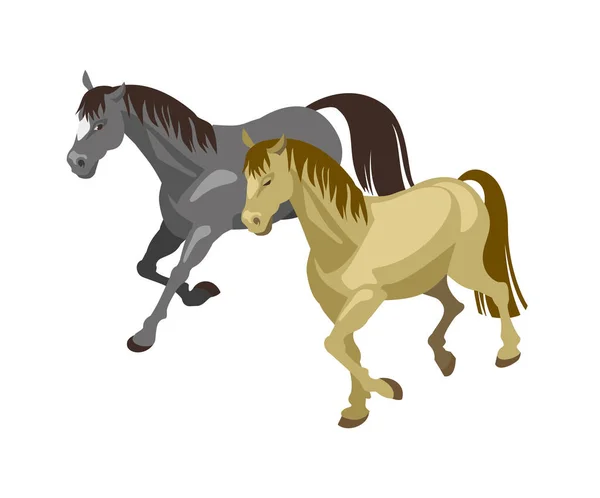 Två Hästar Vit Bakgrund Isometrisk Vektor Illustration — Stock vektor