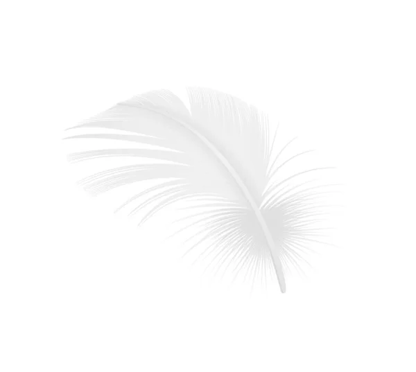 Realistische Zachte Pluizige Witte Vogel Veer Vector Illustratie — Stockvector