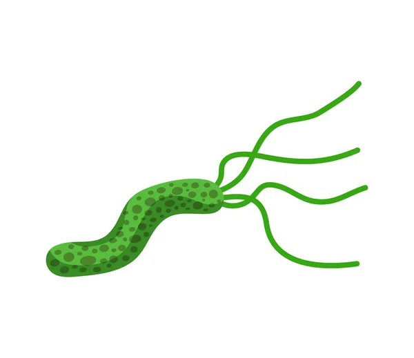 Helicobacter Pylori Platte Pictogram Witte Achtergrond Vector Illustratie — Stockvector