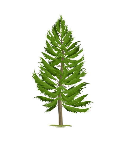 Dennenboom Witte Achtergrond Realistische Vector Illustratie — Stockvector