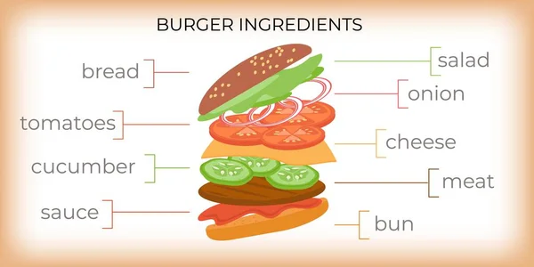Fast Food Restoranı Düz Bilgi Grafikleri Içinde Uçan Burger Metin — Stok Vektör