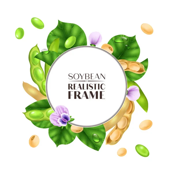 Realistic Soybean Frame Green White Beans Flowers Vector Illustration — Stock Vector