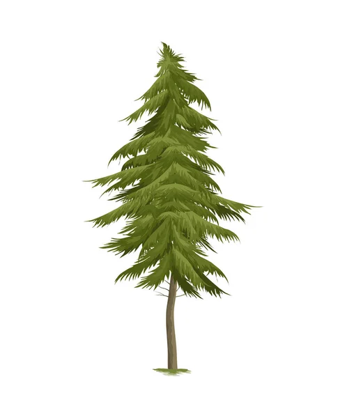 Pine Tree Realistic Style Vector Illustration — Stock Vector