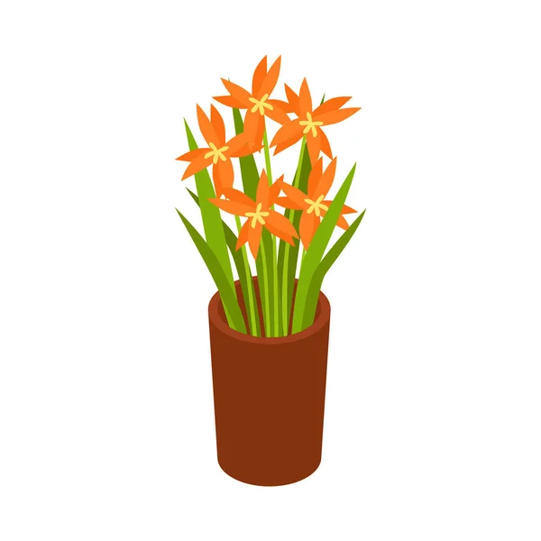 Bunch Van Oranje Bloemen Pot Isometrische Pictogram Vector Illustratie — Stockvector