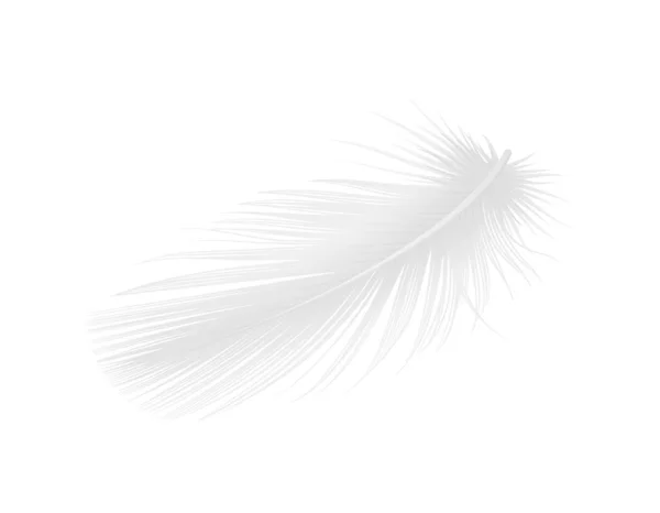 Pluma Blanca Pájaro Limpio Vector Realista Ilustración — Vector de stock