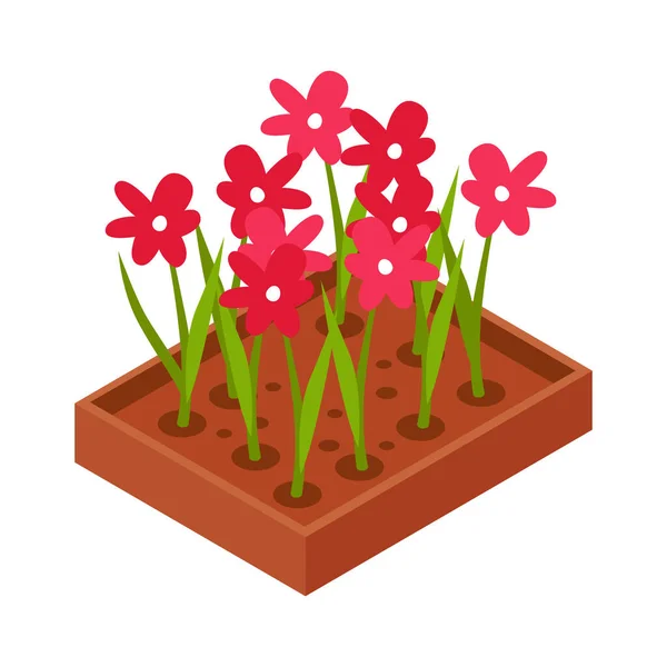 花朵绽放的花床等距图标3D矢量插图 — 图库矢量图片
