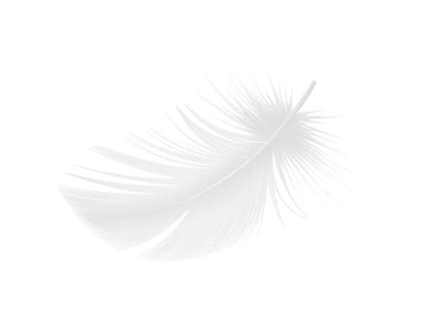 Realistica Caduta Soffice Bianco Uccello Piuma Vettoriale Illustrazione — Vettoriale Stock