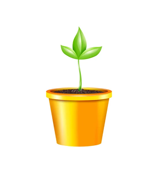Realistisk Orange Kruka Med Gröna Plantor Vektor Illustration — Stock vektor