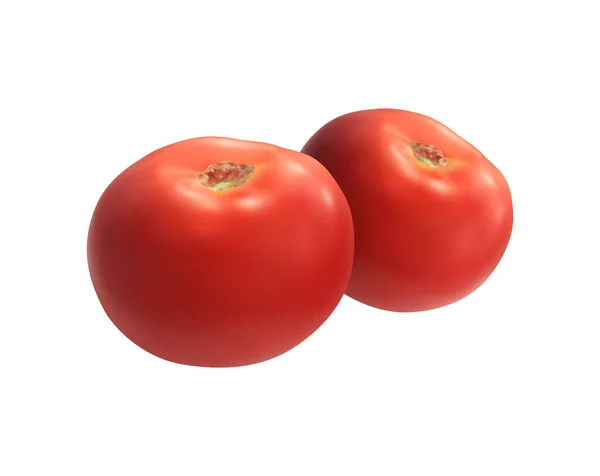 Dua Gambar Vektor Tomat Merah Matang Yang Realistis - Stok Vektor