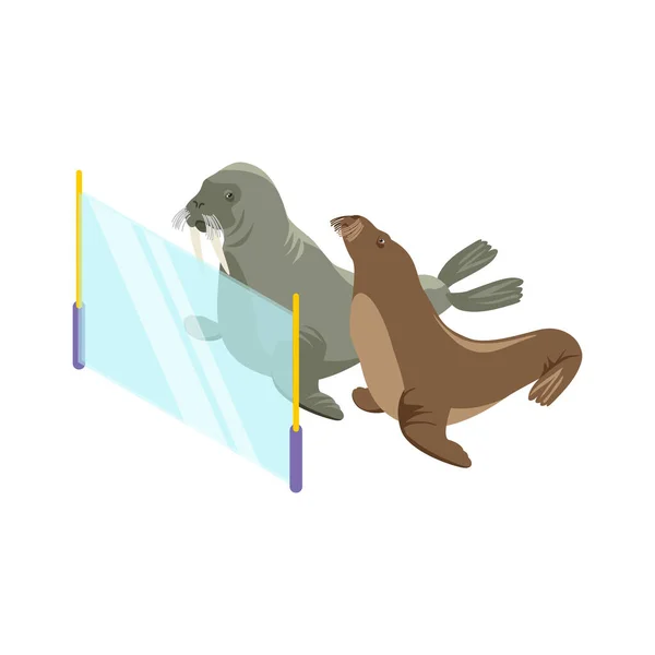 Dva Mroži Skleněným Plotem Izometrické Vektorové Ilustraci Zoo — Stockový vektor