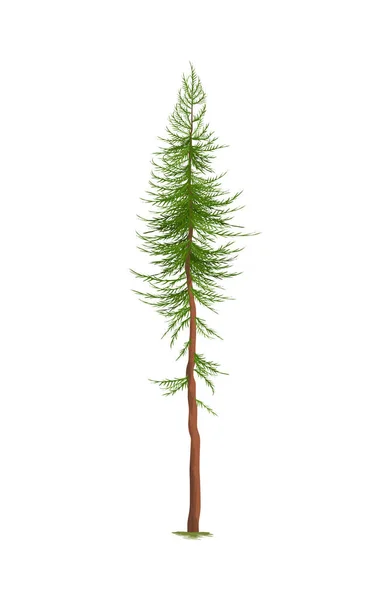 Realistische Kleine Groene Dennenboom Vector Illustratie — Stockvector