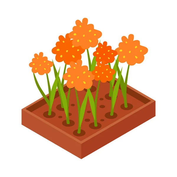 花坛上盛开的橙花等距图标3D矢量插图 — 图库矢量图片