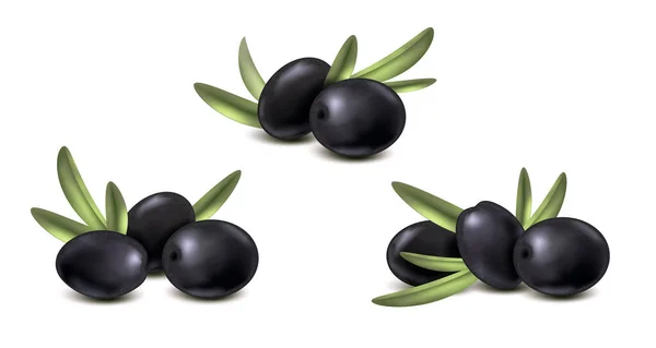 Ensemble Réaliste Compositions Avec Des Baies Olive Noires Aux Feuilles — Image vectorielle