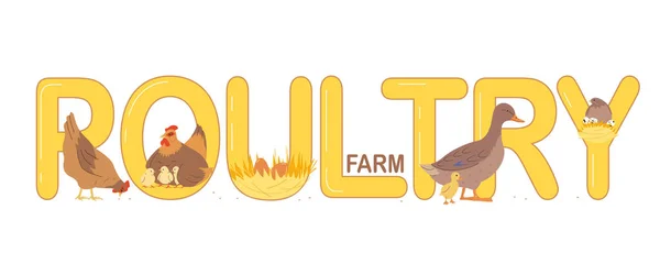 家禽饲养场文字横幅扁平风格与蛋母鸡和鸭白色背景矢量插图 — 图库矢量图片
