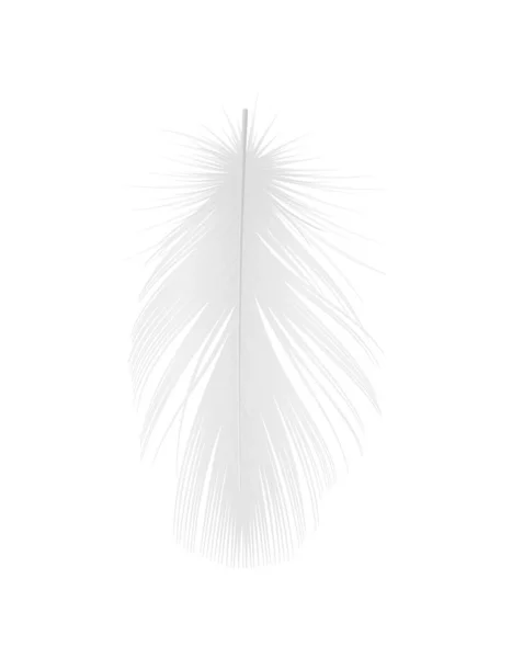 Witte Pluizige Vogel Veer Realistische Vector Illustratie — Stockvector