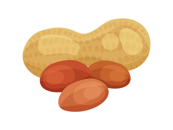 Geschälte Und Ungeschälte Erdnüsse Auf Weißem Hintergrund — Stockvektor