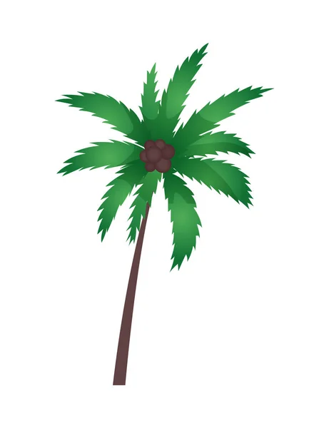 Palm Tree Clipart Stock Photos, Royalty Free Palm Tree Clipart Images |  Depositphotos
