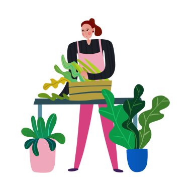 Kadın çiçekçi ya da bahçıvan saksı bitkileriyle ilgileniyor.