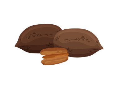 Ceviz soyulmuş ve kabuk düz vektör illüstrasyonunda