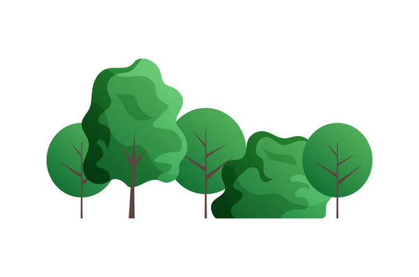 公园或森林病媒图解中的平坦型绿树 — 图库矢量图片