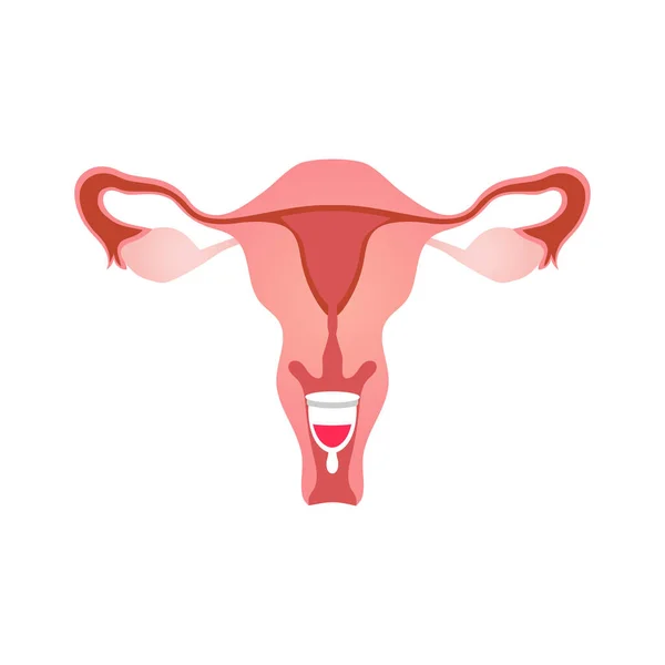 Ícone Plano Higiene Feminina Com Esquema Sistema Reprodutivo Feminino Ilustração —  Vetores de Stock