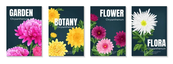 Realistische Chrysanthemen Poster Set Mit Bunten Blumen Auf Dunklem Hintergrund — Stockvektor