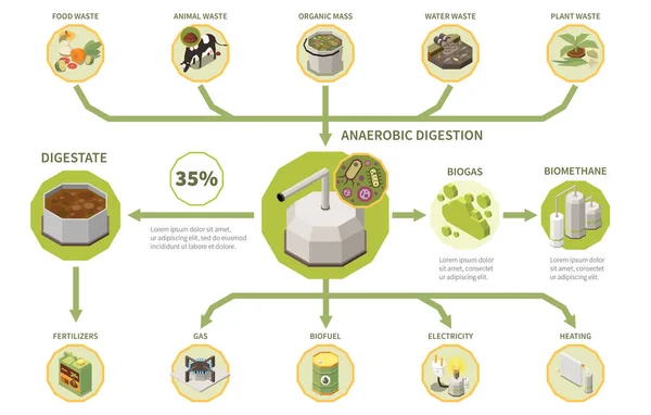 Biogas Elektriciteit Productieproces Isometrische Infographics Met Soorten Organisch Afval Anaërobe — Stockvector
