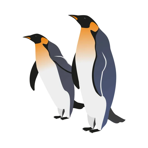 Couple King Penguins Isometric Vector Illustration — Stock Vector