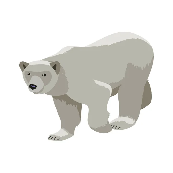 北极熊等距矢量图解 — 图库矢量图片