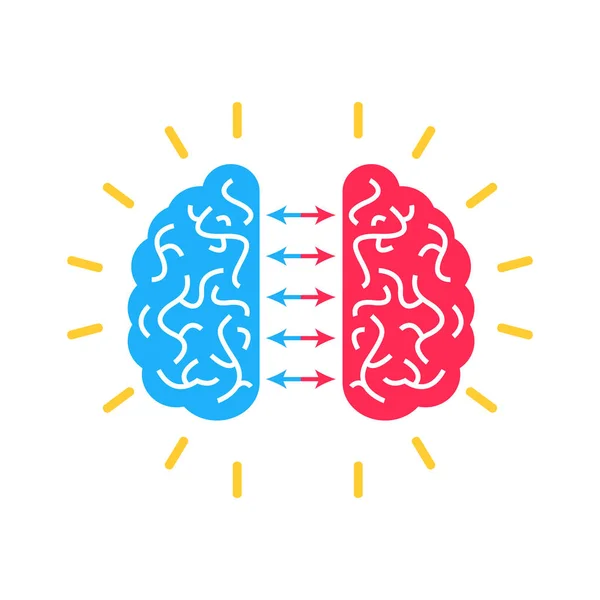 Εγκέφαλος Ημισφαίρια Επίπεδη Έννοια Χρώμα Της Μάθησης Και Μελέτη Διανυσματική — Διανυσματικό Αρχείο