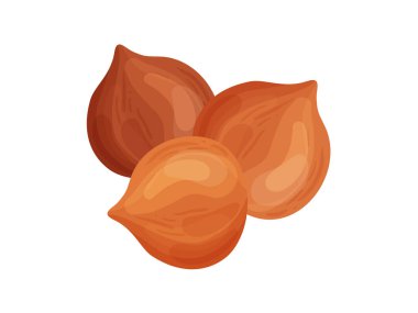 Beyaz arka plan düz vektör illüstrasyonunda fındık