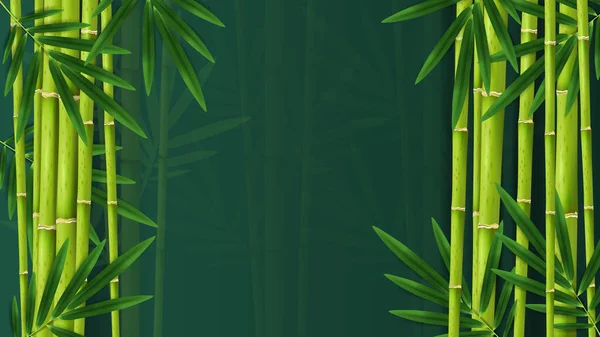 Ramos Tropical Selva Bambu Composição Com Escuro Floresta Tropical Fundo — Vetor de Stock