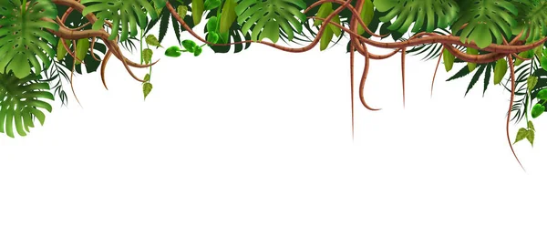 Větve Tropické Džungle Horním Rámem Exotických Listů Vinné Révy Prázdným — Stockový vektor