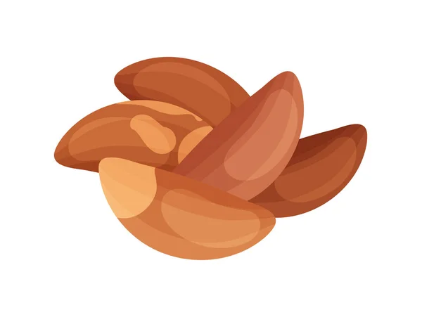 Hromada Brazilských Ořechů Ploché Vektorové Ilustrace — Stockový vektor