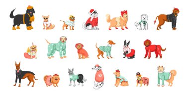Twenty cartoon color characters of different dog breeds in clothes flat set isolated vector illustration clipart