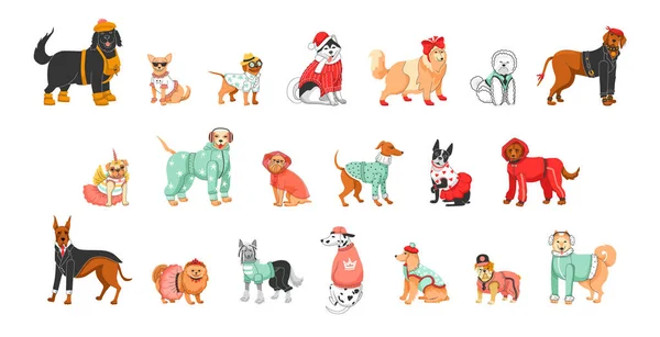 Twenty Cartoon Color Characters Different Dog Breeds Clothes Flat Set — Stock Vector