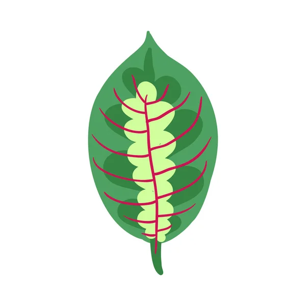 Trópusi Növények Összetétele Izolált Ikon Egzotikus Növény Üres Háttér Vektor — Stock Vector