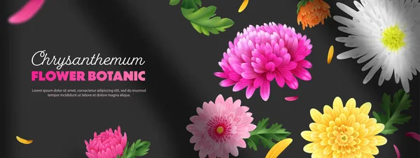 Realistic Chrysanthemum Poster Colorful Flower Bulbs Dark Background Vector Illustration — Stock Vector