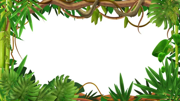 Гілки Рами Тропічних Джунглів Складом Порожнього Простору Оточеного Стеблами Листя — стоковий вектор