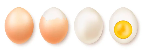 农场煮熟的鸡蛋一套现实的壳和剥皮完整和切片分离的病媒说明 — 图库矢量图片