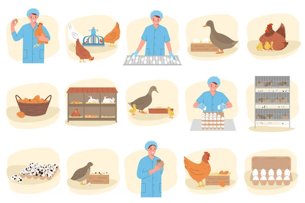 養鶏卵生産フラットセットで国内鳥や女性工場労働者隔離ベクトルイラスト — ストックベクタ