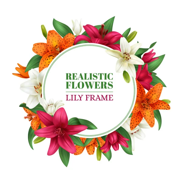 Ρεαλιστικό Πλαίσιο Κρίνου Χρωματιστό Λουλούδι Σύνθεση Διάνυσμα Εικονογράφηση — Διανυσματικό Αρχείο