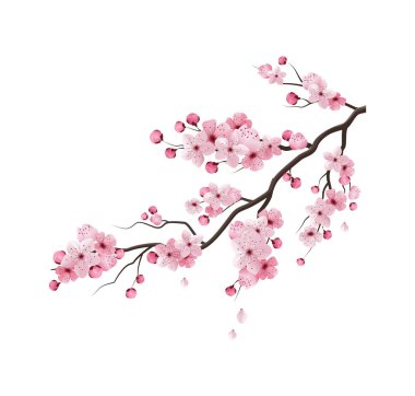 İzole edilmiş kültürel sembollere sahip gerçekçi Japon kompozisyonu düz izole görüntü vektörü çizimi