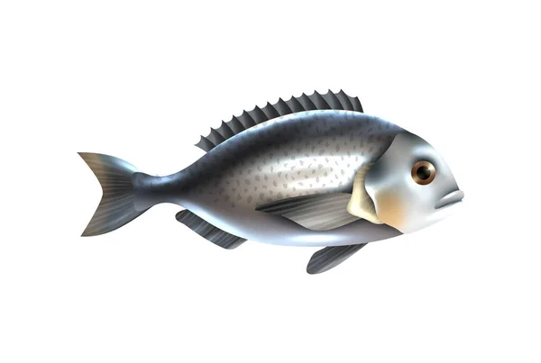 Fische Zusammensetzung Mit Isolierten Seitenansicht Bild Von Meeresfischen Auf Leerem — Stockvektor