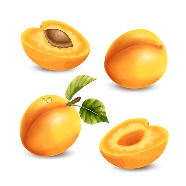 Realistische Aprikosenset Mit Isolierten Fruchtbildern Mit Wassertropfen Blätter Und Schatten — Stockvektor